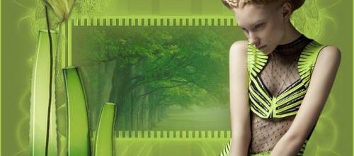  Tout en vert...