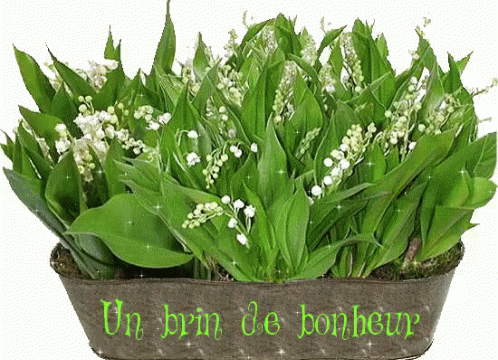 1er mai en confinement -  Fete de Beltane