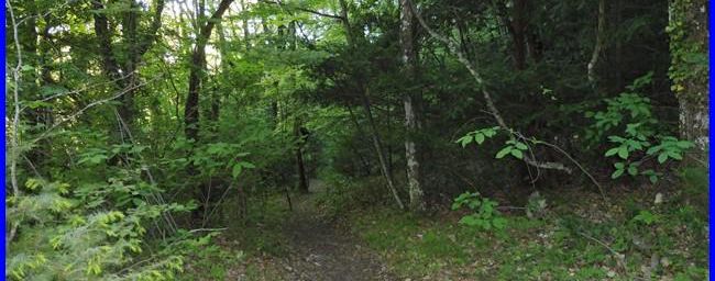 Sainte Baume - la voie Gombault, le sentier Estruch