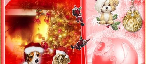 Défi animaux Noel forum Hénoa 