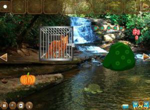 Escape the wild fox soluce