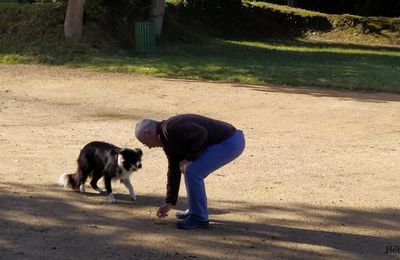 un beau moment avec un chien