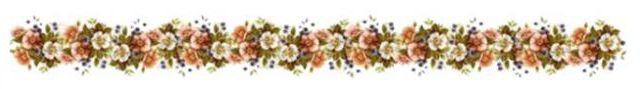 Rosebud_Autres Inconnues