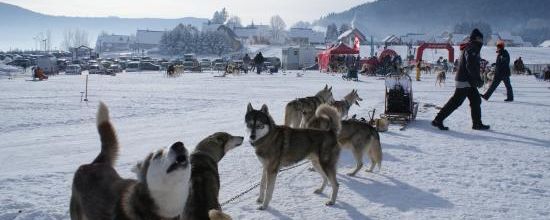 18 ième Salon chasse pêche et nature Au Douhet