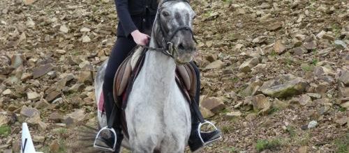 concours