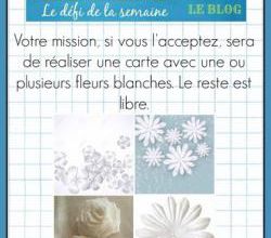 Passion Cartes Créatives #464