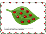 Les coccinelles