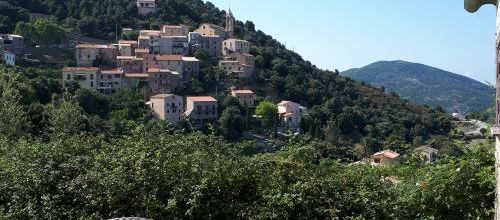 Les estivants et les autochtones 