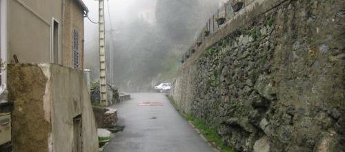 Où est le printemps ?