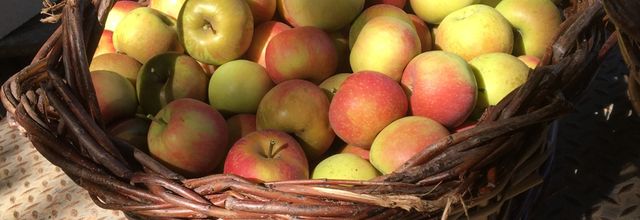 Ouverture Verger de Paupenne 2025 : 12/09/2025