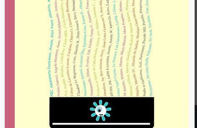 Notre livre Metiers improbbles 