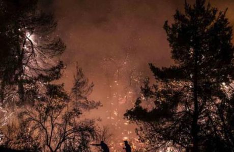 Un an après les incendies dévastateurs Un festival de cinéma vert à Eubée