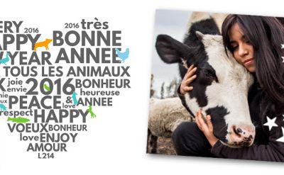 Avez vous serré un ami dans vos bras aujourd'hui?