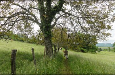 Balade en Valdaine 2