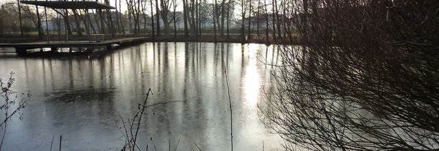 Après la tempête, le patinage ...