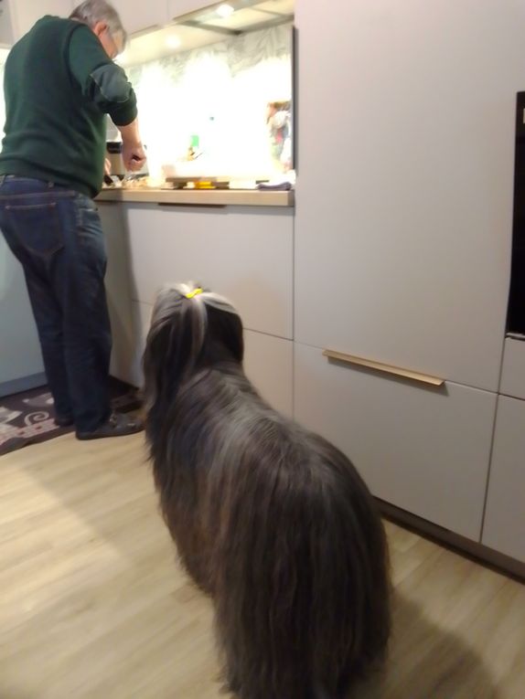 diaporama * Tavia la gourmande - photos du 25.10.2025 " Juste un p'tit bout STP pôpa" !! lol