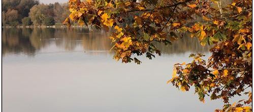 Douceur d’automne...