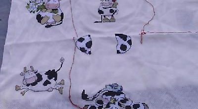 Ronde vache