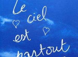 Le ciel est partout / Jandy Nelson