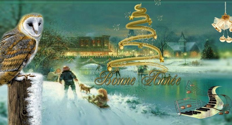 Bonne Année pour 2013