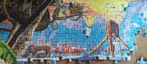 Retour dans la jungle (3)