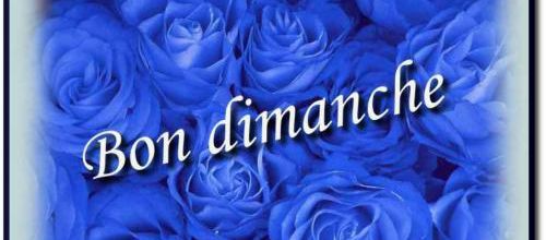 REFLEXION DE LA SEMAINE  18/08/2013