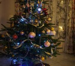 Noël 2018 : mon beau sapin