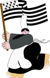 L'Ajonc, l'embleme de la Bretagne