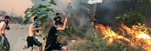 Un article bouleversant du quotidien algérien "El Watan" UN PEUPLE DIGNE ET SOLIDAIRE