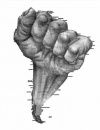 PAULAMLAT