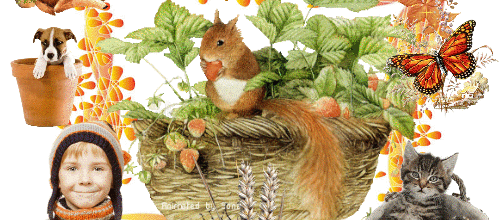 ANIMAUX EN AUTOMNE