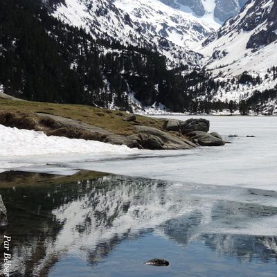 Défi reflets d'Annie N°5 / 2025