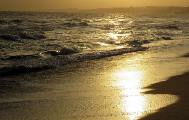 une vague et reflets au Portugal
