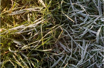 Givre, glace et bulles!