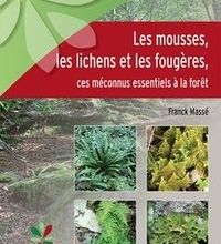 Téléchargement gratuit des livres électroniques au format pdf Les mousses, les lichens et les fougères, ces méconnus essentiels à la forêt