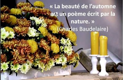 Belle chose de la vie