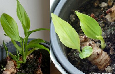 Le printemps, enfin !