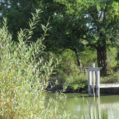 vertes escapades 36 86