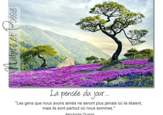 Citations en images : Les gens