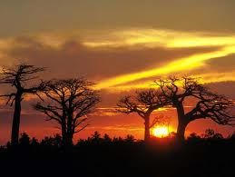Des mots d'Afrique (n°3)
