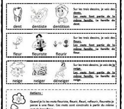 Les familles de mots