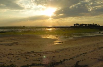Couchers de soleil à Andernos 33