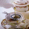 Une tasse de Thé ! cartonnettes et MP