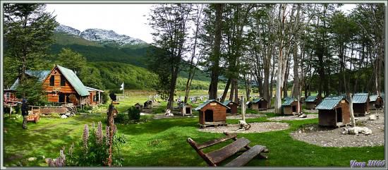 Station de vacances Villa Las Cotorras: Chiens de traîneaux - Ushuaia - Terre de Feu - Argentine