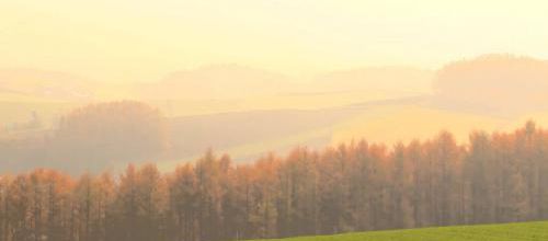 "Deep Autumn" Quiet Scenery Quiet Music