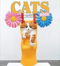 Livre des téléchargements pour mp3 Cats rock  (Litterature Francaise) 9782374950464