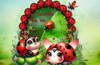 Fond écran Coccinelles - Douce Semaine