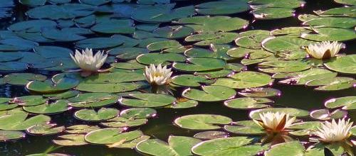 Kintsugi - création 2017