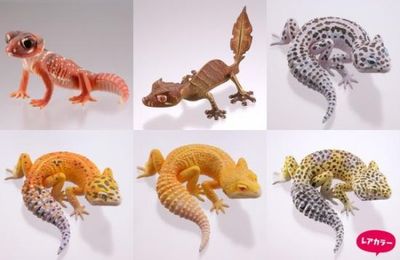 Jouets pour terrariophiles 