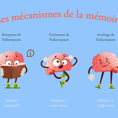 Comment mémoriser mieux ?